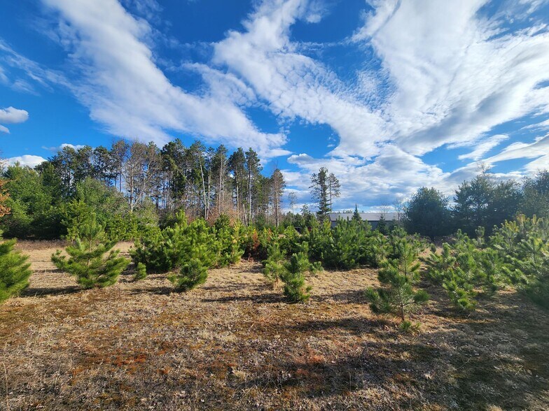 More Photos Of Lot 6 - 7 Plaza Drive, Minocqua Land For Sale