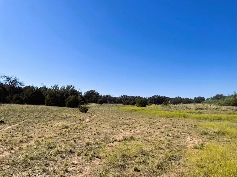 More Photos Of 1276 Farm to Market Road 574, Mullin Land For Sale