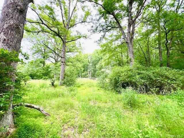 More Photos Of 7584 NY-97, Narrowsburg Land For Sale