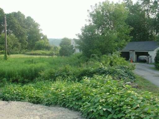 More Photos Of 609 International Blvd, Rock Tavern Land For Sale