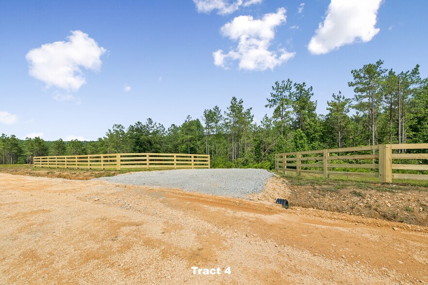 More Photos Of 1420 Big Swan Creek Rd, Summertown Land For Sale