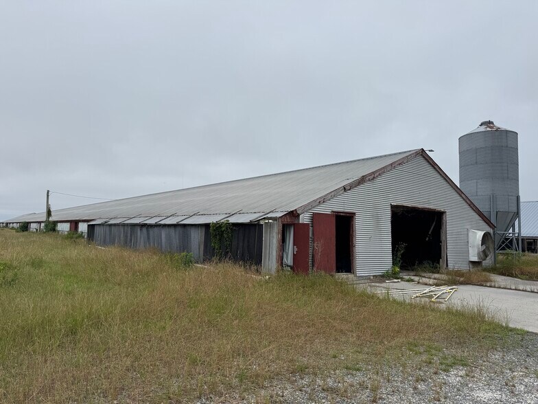 More Photos Of 7193 Bullbegger Rd, Withams Land For Sale