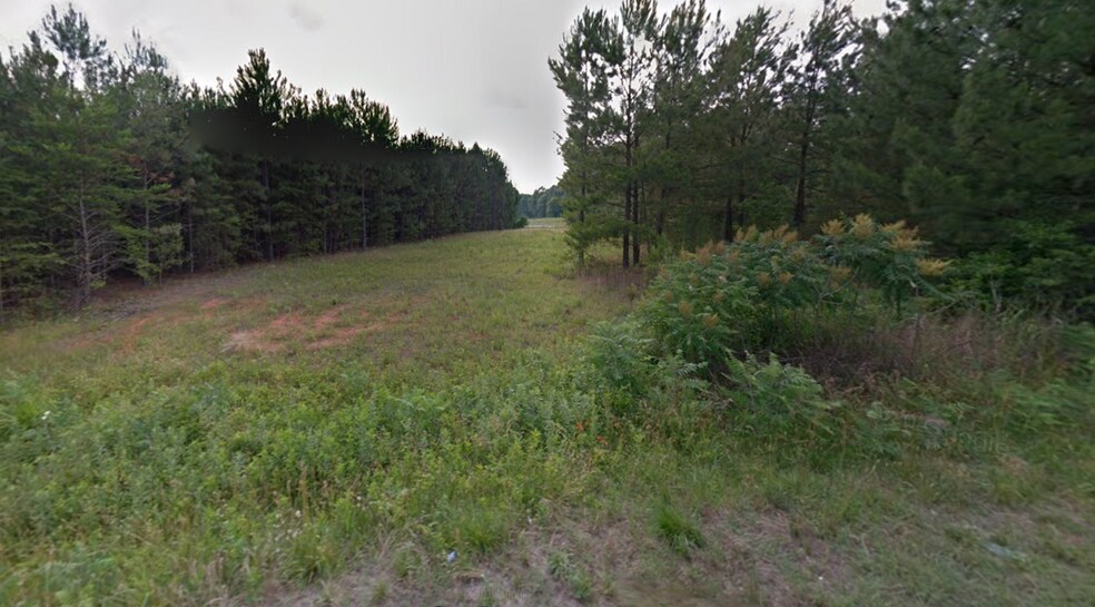 More Photos Of 399 Church St, Cowpens Land For Sale