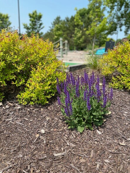 More Photos Of 2630 School Ln, Suamico Restaurant For Sale