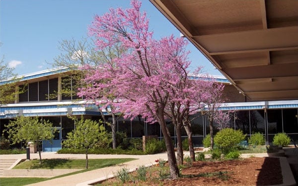 More Photos Of 815 14th St SW, Loveland Flex For Lease