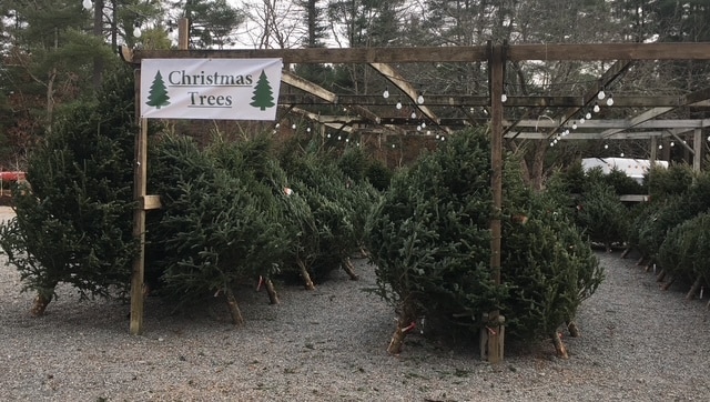 More Photos Of 398 W Main St, Groton General Retail For Sale