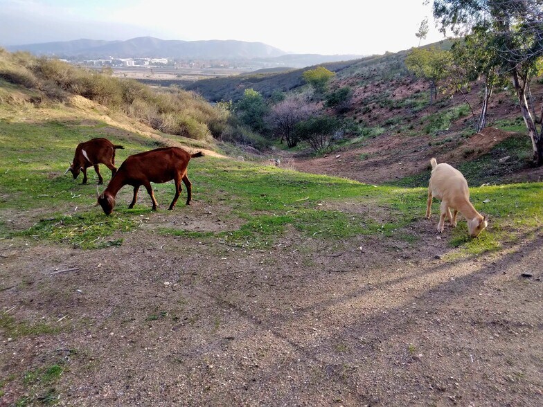 More Photos Of 6555 Devils Canyon Rd, San Bernardino Land For Sale