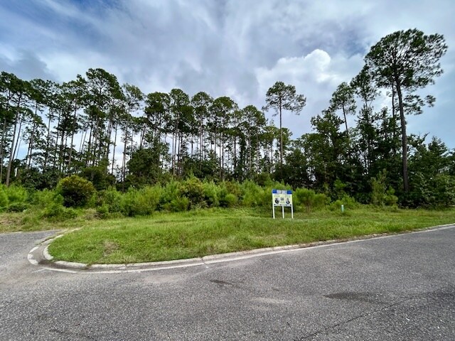 More Photos Of 97124 Elk Creek ct, Fernandina Beach Land For Sale