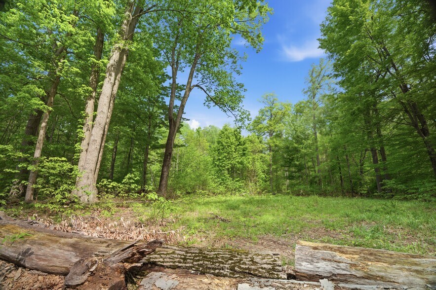 More Photos Of 0 Red Arrow Highway, Lakeside Land For Sale