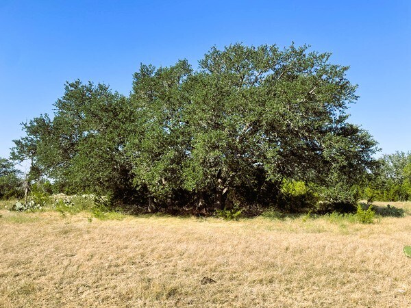 More Photos Of 4547 County Road 108, Burnet Land For Sale