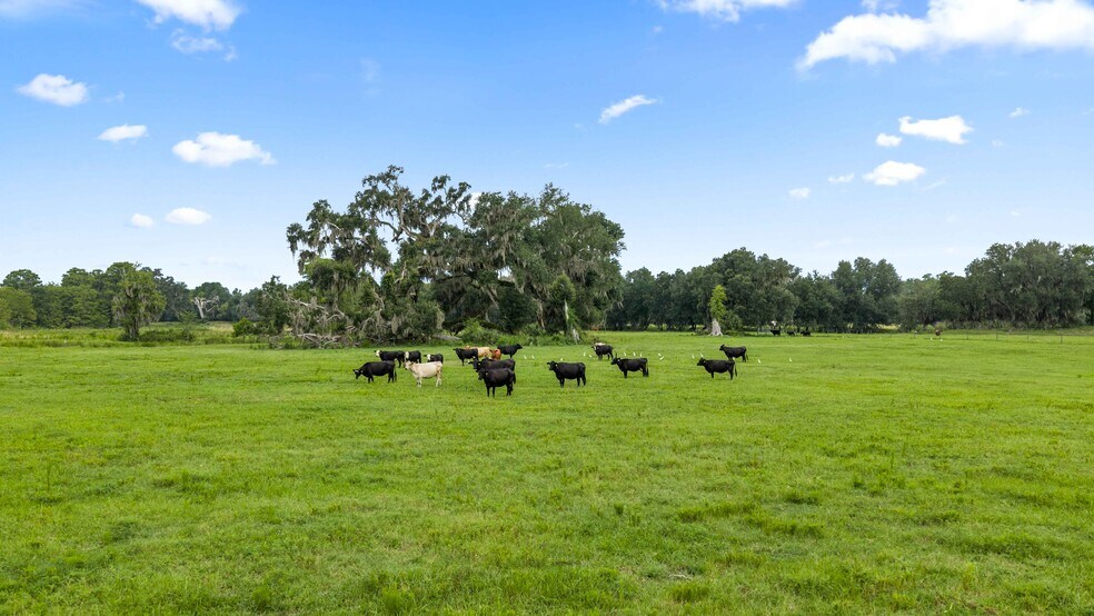 Primary Photo Of CR 774, Webster Land For Sale