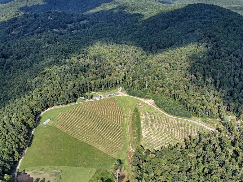 More Photos Of 781 Payne dr, Zirconia Land For Sale