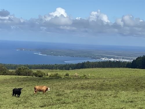 More Photos Of 27-5159 Puia Rd, Papaikou Land For Lease