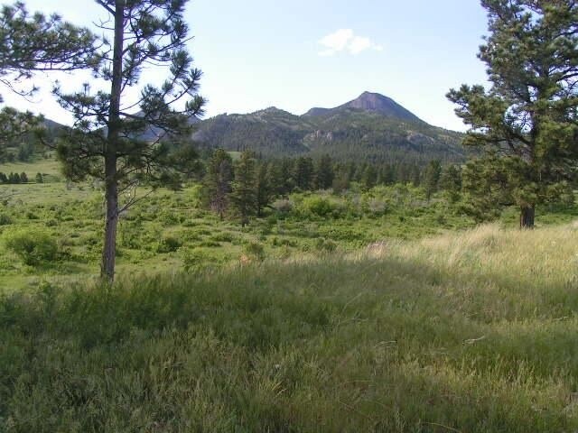 More Photos Of Gozlin, Zortman Land For Sale