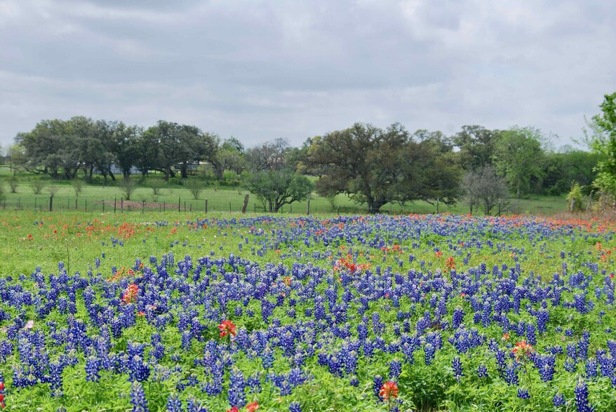 Primary Photo Of Highway 90A, Shiner Land For Sale