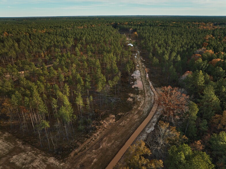 More Photos Of 480 Martin Rd, Cotton Valley Land For Sale