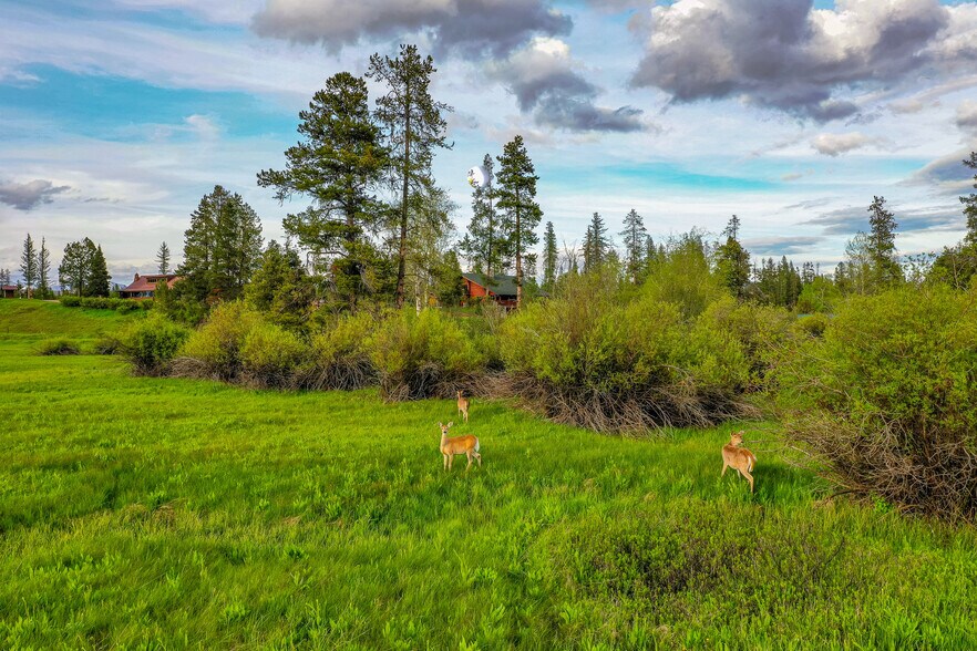 More Photos Of 12455 N Placid Lake Rd, Seeley Lake Specialty For Sale