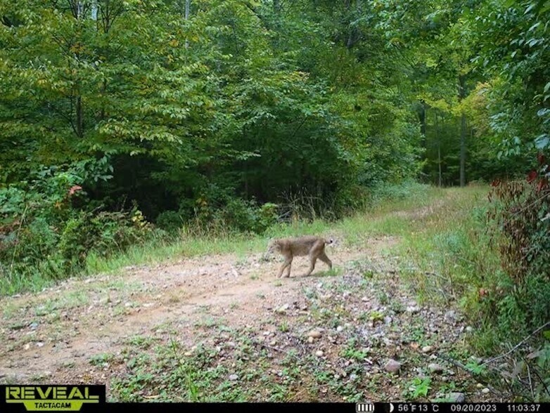 More Photos Of Fisher Road, Iola Land For Sale