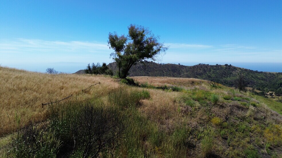 More Photos Of 2460 Tuna Canyon Rd, Topanga Land For Sale