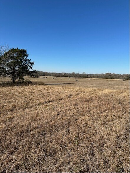 More Photos Of 460 Washington St, Round Top Land For Sale