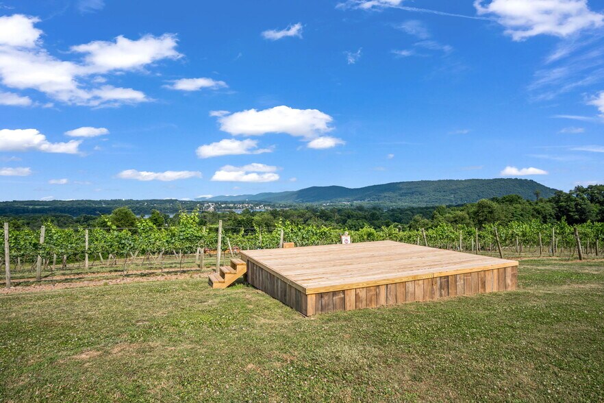 More Photos Of 3 Orchard Rd, Liverpool Winery Vineyard For Sale