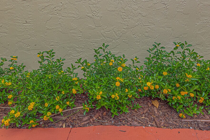 More Photos Of 119 W Plymouth Ave, Deland Unknown For Lease