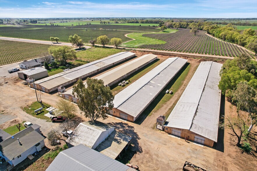 Primary Photo Of 28600 Sowles Rd, Galt Land For Sale