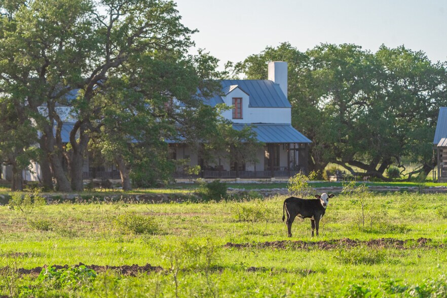 More Photos Of 5279 FM 1117, Nixon Land For Sale