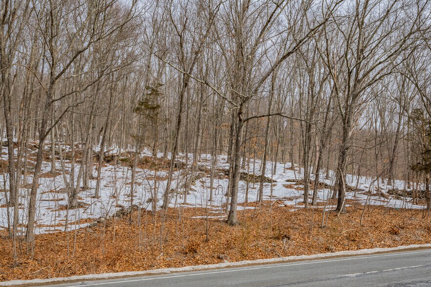 More Photos Of Frost Bridge Rd, Watertown Land For Sale
