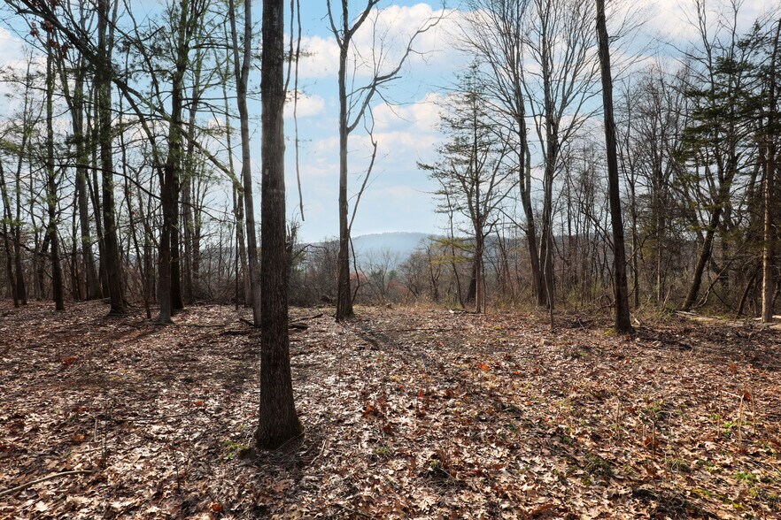 More Photos Of 625 Broadway, Ulster Park Land For Sale