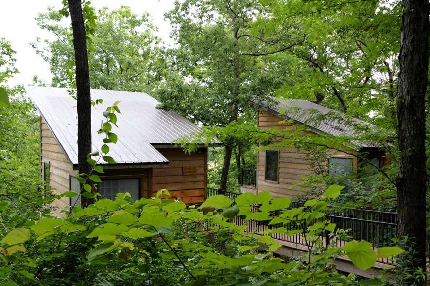 Primary Photo Of , Nixa Specialty For Sale