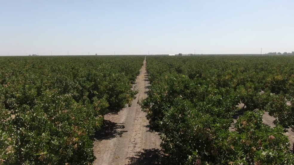 Primary Photo Of Colorado ave, San Joaquin Land For Sale