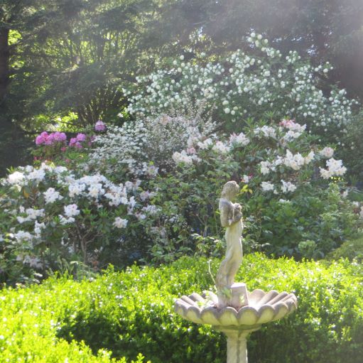 More Photos Of 6605 Sooke Rd, Sooke Land For Sale