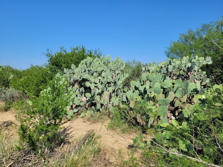More Photos Of , Laredo Land For Sale