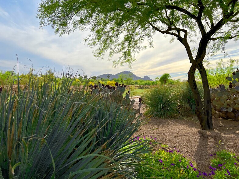 More Photos Of 8165 E Indian Bend Rd, Scottsdale Medical For Lease