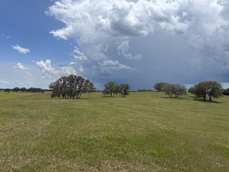 More Photos Of 0 W Highway 328, Dunnellon Land For Sale