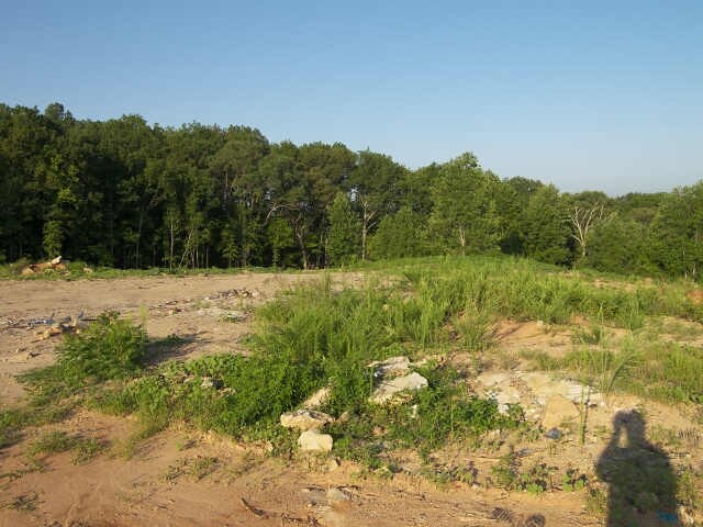 More Photos Of 1428 Bobo Rd, Dallas Land For Sale