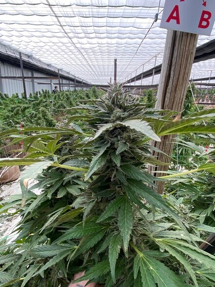 More Photos Of 23855 Rd 12 NW, Quincy Land For Lease