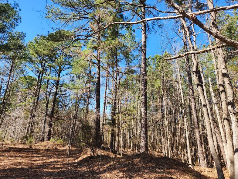 More Photos Of 3004 U.S. 401 Hwy, Louisburg Land For Sale