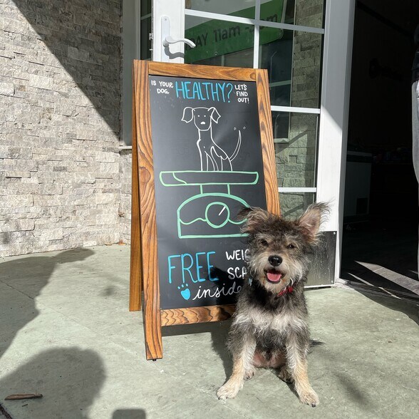 More Photos Of 218-220 S Myrtle Ave, Monrovia Storefront Retail Office For Lease