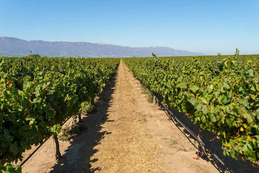 More Photos Of 32498 Gloria Road, Gonzales Land For Sale