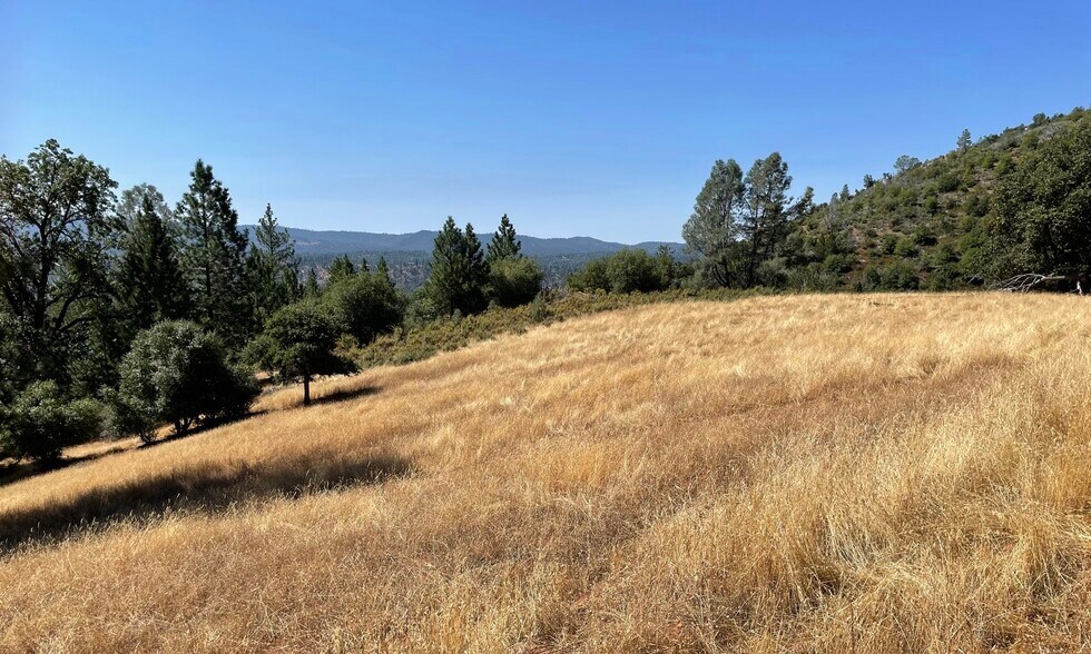 More Photos Of 00000 Forrest Road 1N19, Tuolumne Land For Sale