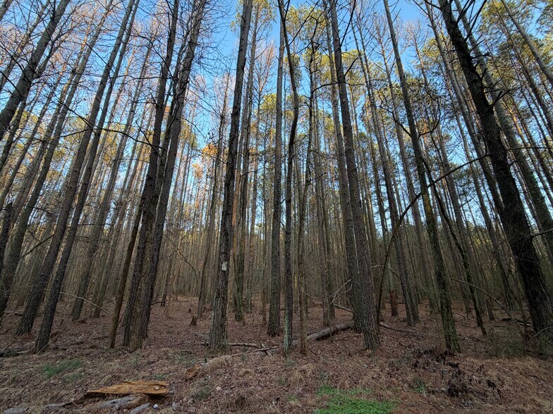 More Photos Of 260 Arnold Rd NE, Fairmount Land For Sale