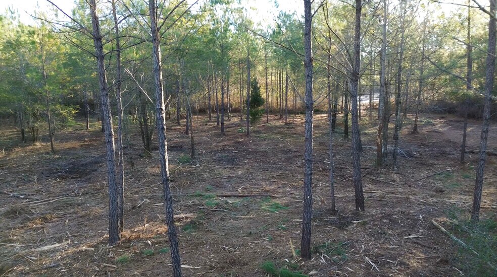 More Photos Of 319 - 547 Sisters Ferry Road, Ridgeland Land For Sale