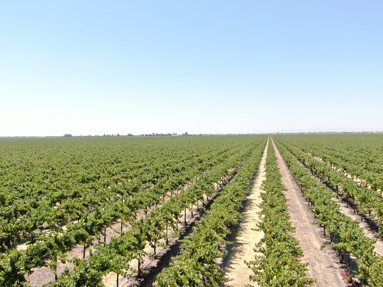 More Photos Of 48450 W Sutter Rd, Clarksburg Land For Sale