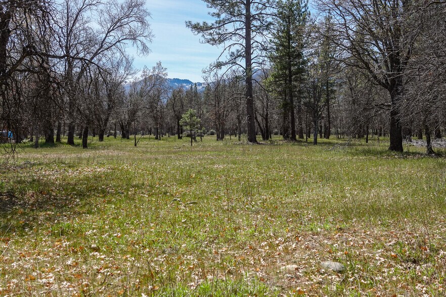 More Photos Of 2003 Kidder Creek Rd, Greenview Land For Sale