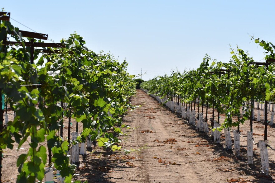 More Photos Of 25203 Road 212, Lindsay Land For Sale