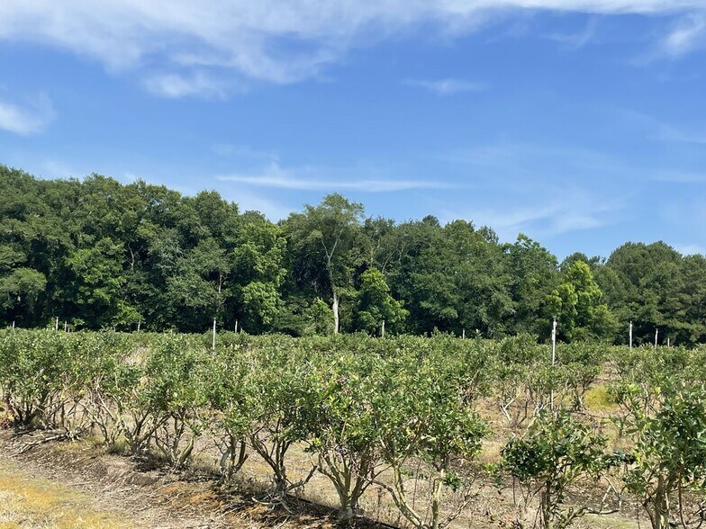 More Photos Of Harmony Road, Meigs Land For Sale