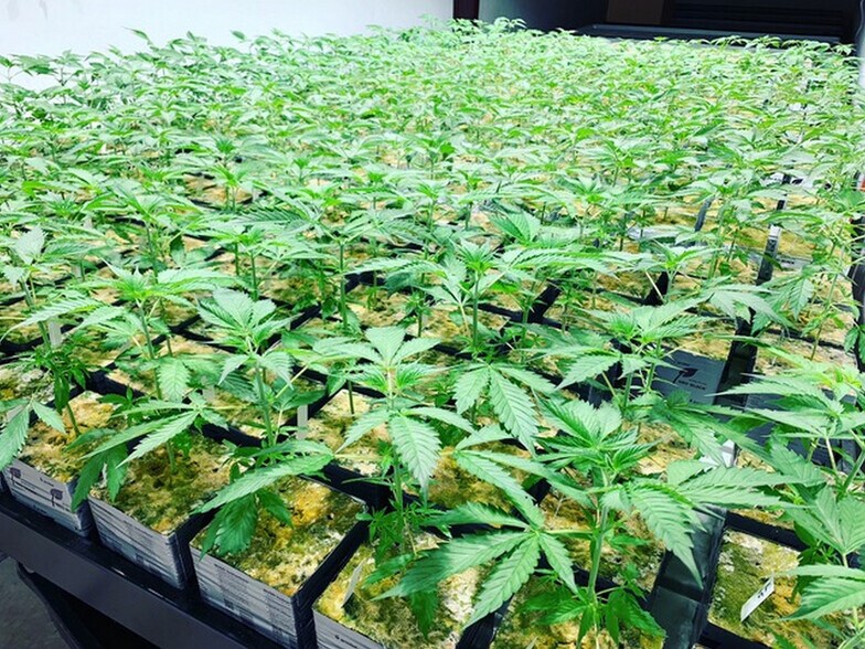 More Photos Of 80 Allegiance ln, Waynesville Warehouse For Lease