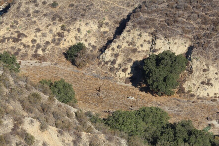 More Photos Of Hasley Canyon Rd, Castaic Land For Sale